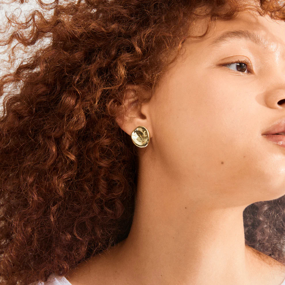 Pilgrim Sparkle Earrings