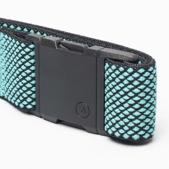 Arcade Belt Carry