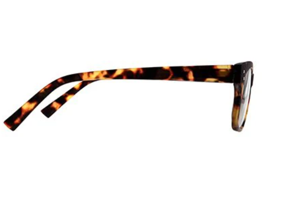 Daily Eyewear 6am Brown Tort