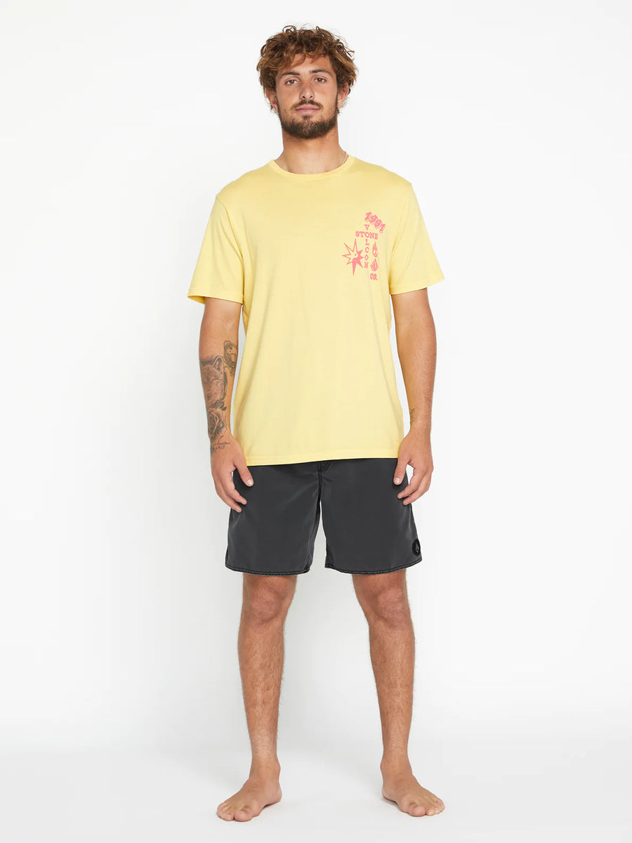 Volcom 2025 1991 shorts