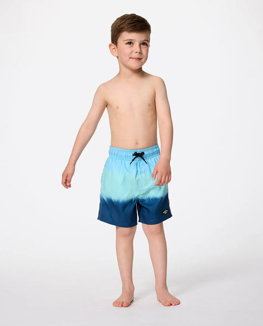 Rip Curl Dip Volley Boardshorts - Boys