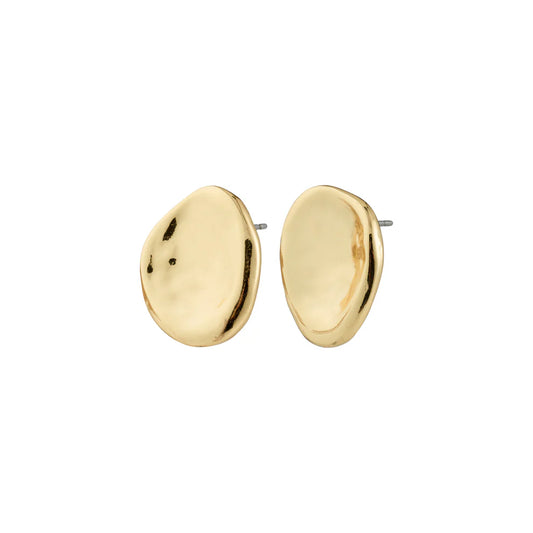 Pilgrim Sparkle Earrings