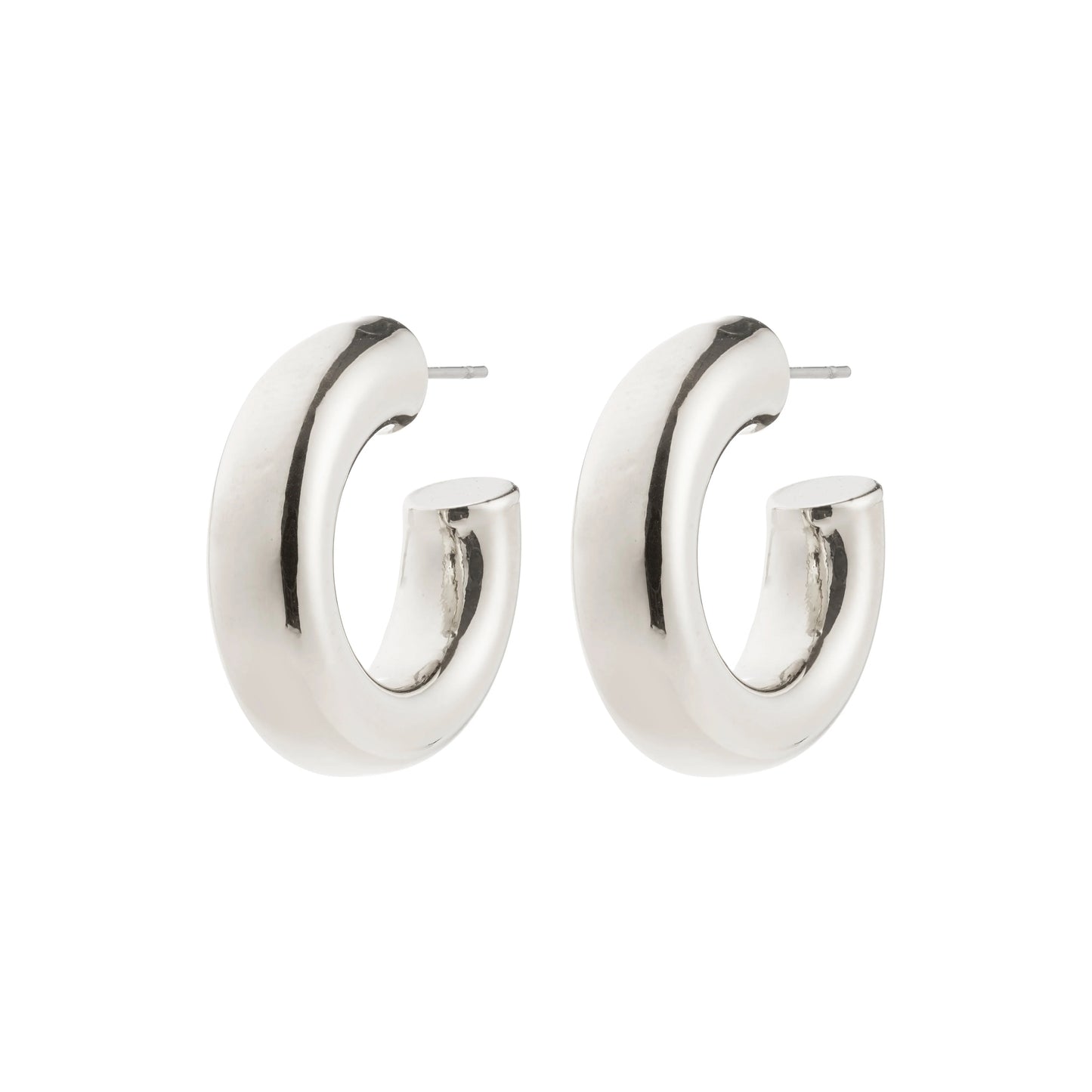 Pilgrim Phase Earrings