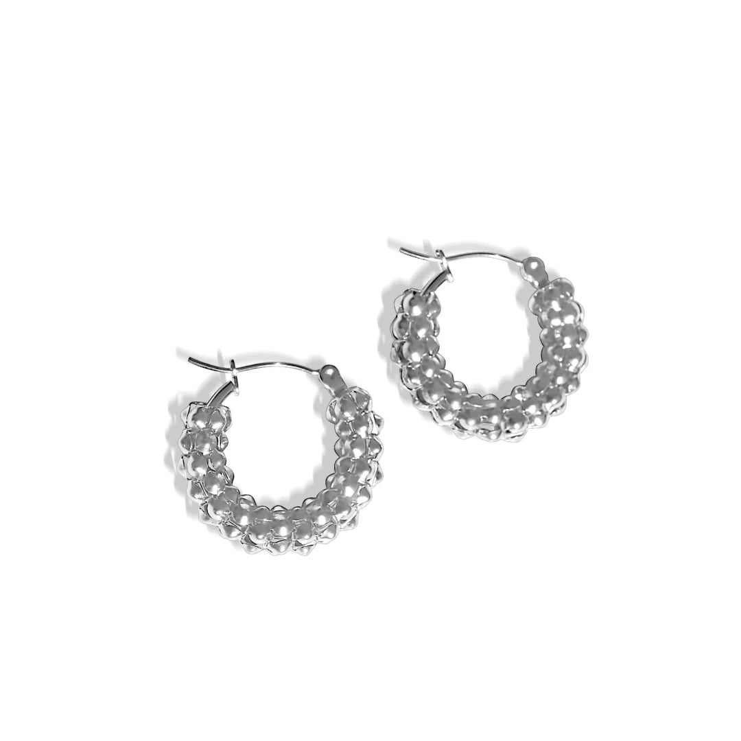 Fabuleux Steel Me Zoe Earrings