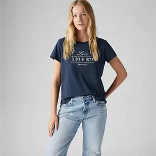 Levis Graphic Boxy T Shirt