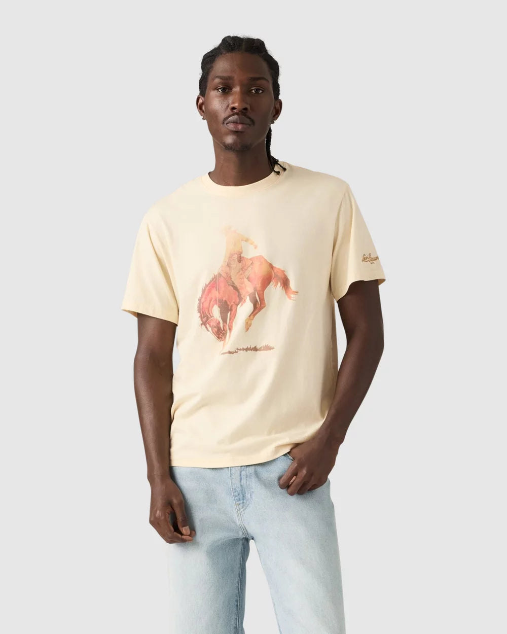 Levis Mens Relaxed Fit Graphic Tee