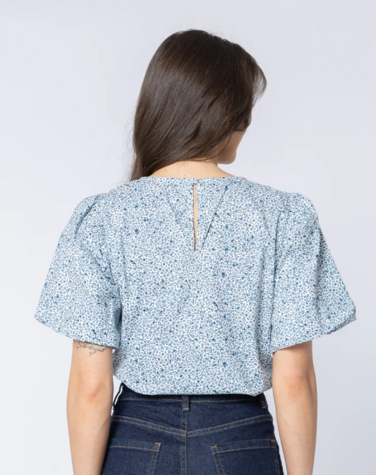 Seeking Lola Knowing Top