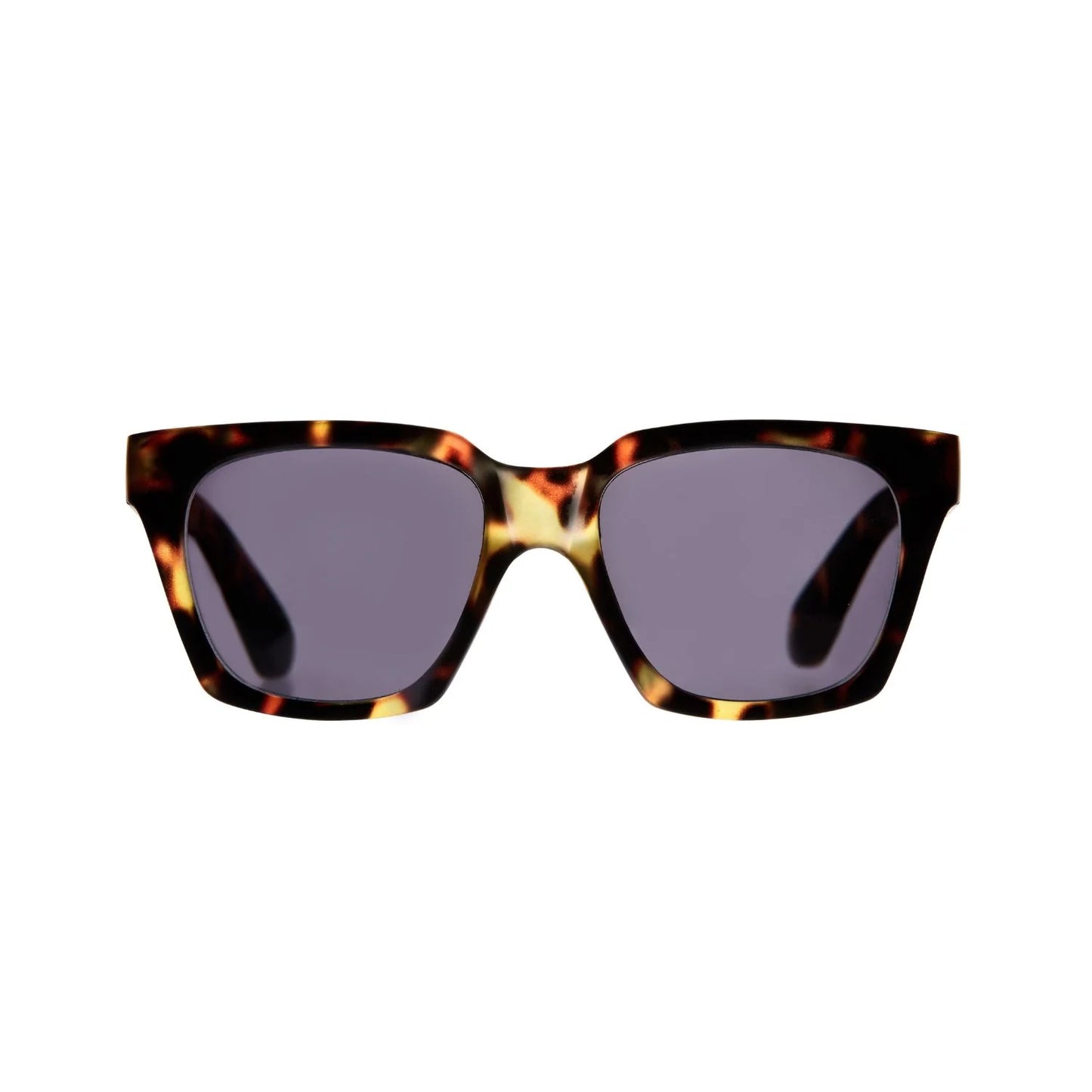Daily Eyewear Sun 10am