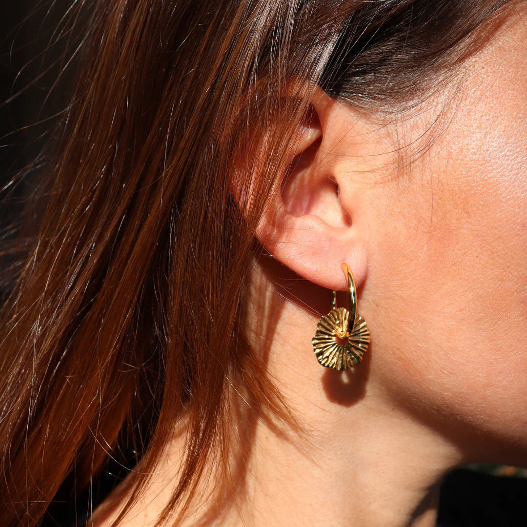 Fabuleux Steel Me Dee Hoop Earrings