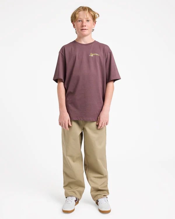 Volcom Freazy EW Pant Youth